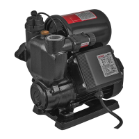 Насосная министанция PWZ-125/0,125 кВт/H=24m/Qmax 33 l/min/вихревая/интеллектуальное управление (KP3427)